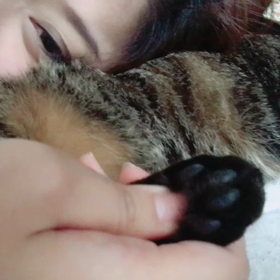 めい様が可愛すぎる件の画像