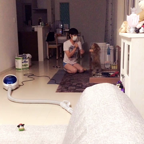 仲良しこよし。の画像