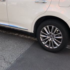 泣きっ面に蜂の画像