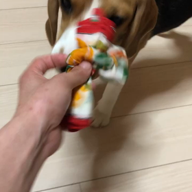 「持ってきて」を練習中の画像