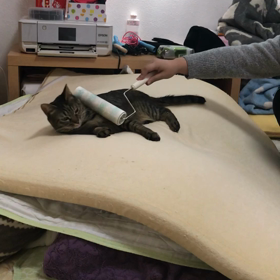 コロコロの画像