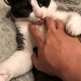 よい動画がとれたの画像