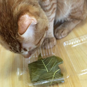 なんでか　あんこ好き❤️の画像