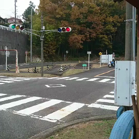 ライダー7日目(続)の画像