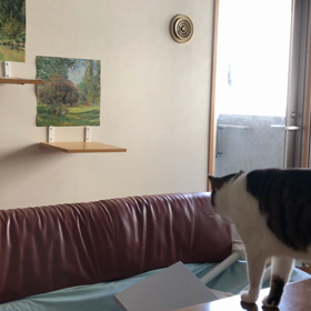 いつも、ここに入れたはずなのにと言う母をバスに乗せて来ましたが…の画像