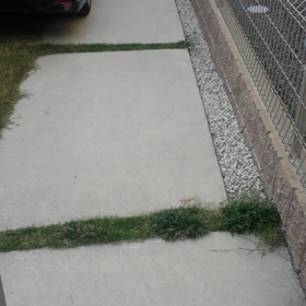 久しぶりのガウガウ☆の画像