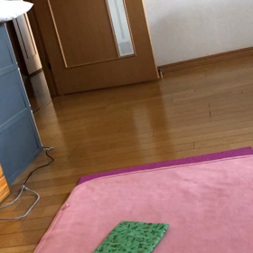 ジムおやすみを決めた！ビー玉遊びのデール動画。の画像