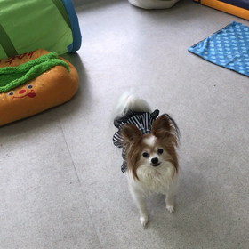 ♪プレイルーム動画♪②の画像