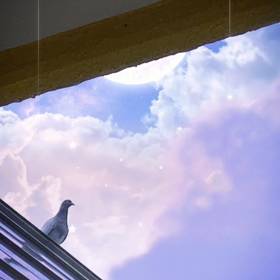 天使からのプレゼント⁉️の画像