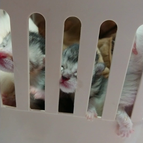 ”ベビタンズ&ご支援ありがとうございます”の画像