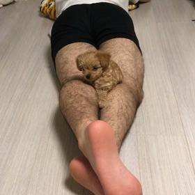 口笛吹くと首傾げるの画像