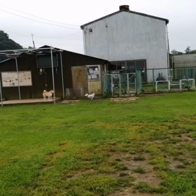 まわるまわるハリーがまわるの画像