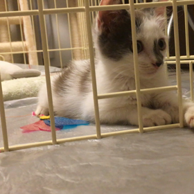 なかなか、、、の画像