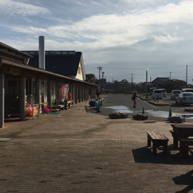 鹿島灘海浜公園で野菜と鉢植えを買うの画像