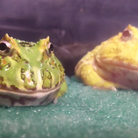 お食事会❗❗の画像