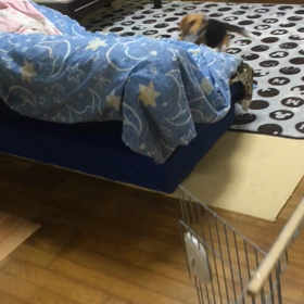 はいはーい！今週のシャンプー後の画像