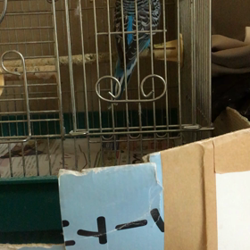 モノマネの画像