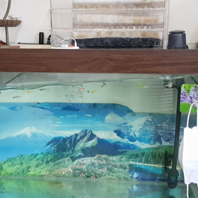 地震〜怖いの画像