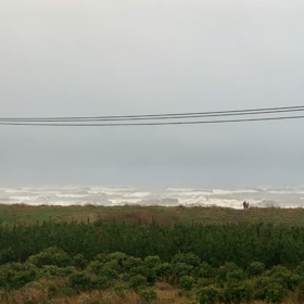 11月24日千葉北、東浪見の朝の波の画像