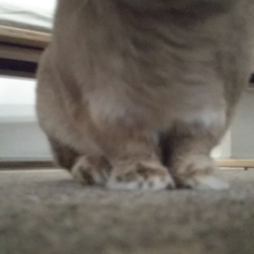 寝起きのくしゃみの画像