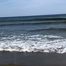 日本海からお届けですの画像