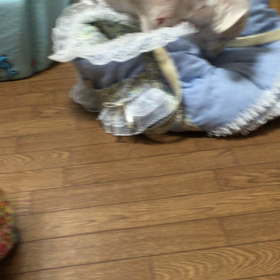 眠りたいサインだったのか！?の画像