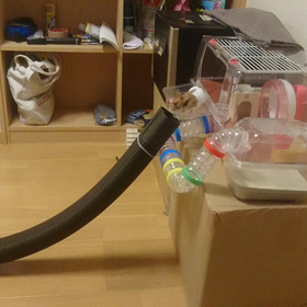 散歩に出動の画像