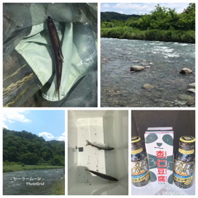 鮎釣りの画像