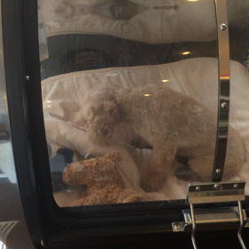 ⬛️6/14〜6/20＊酸素カプセルご利用のお友達⬛️2の画像