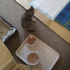 最悪だったの画像