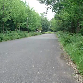 100m記録会 ４年男子１位の画像