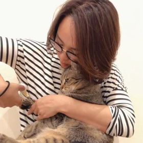 猫の爪切り。の画像