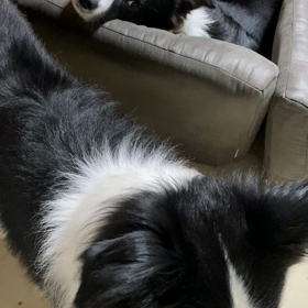 存在全てが愛おしいの画像