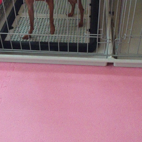 どうしようの画像