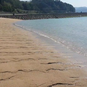 芦北の海岸…の画像