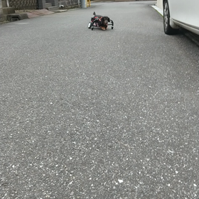 血だらけの人たちの画像