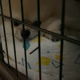 なんでやねん！の画像