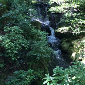 来宮神社⛩の続きの画像