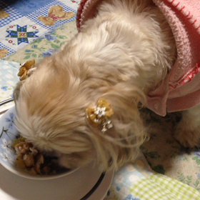 食べましたの画像