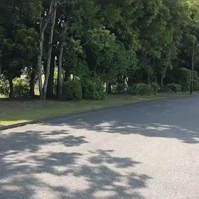 5/27 1000m③の画像