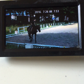 201  Shu1 (19)の画像