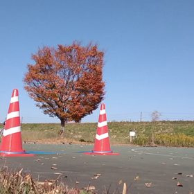 sk8☆オーリー物越え練習の画像