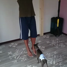 体育の日マー君と!の画像