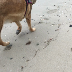 昨日は暑かったの画像