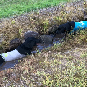 ざっくり最近のナツアキの画像