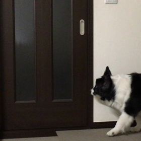 やる気を出して行こう！の画像