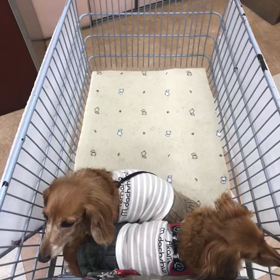 事務所に復帰の画像