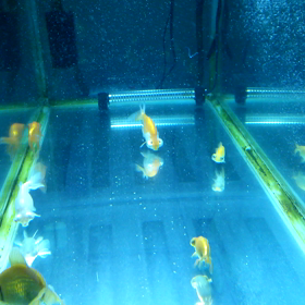 久しぶりのブログ２。の画像