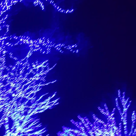 青の世界の画像