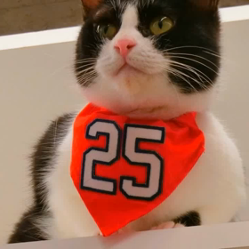 今日からCSファイナルの画像